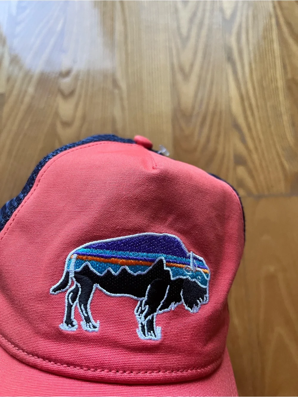 Patagonia Tucker hat